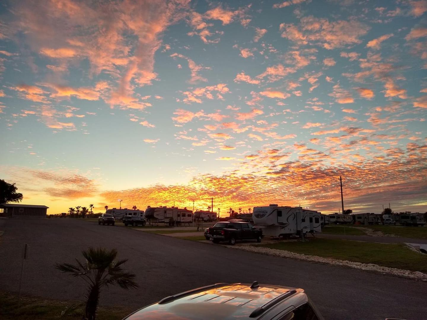 Rivercity Rv Park New Braunfels Extérieur photo